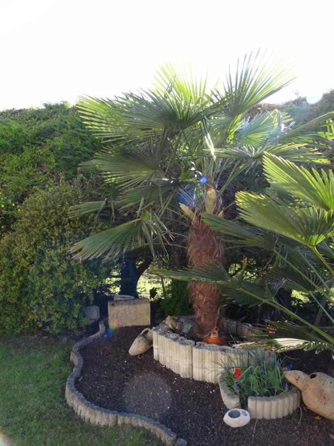 Avec Kichenette Soleil De Nacre Apartment Hermanville-sur-Mer